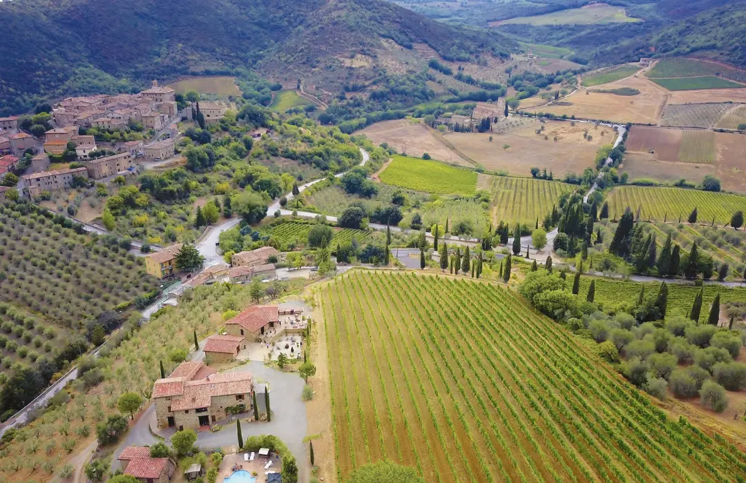 brunello_olive_experience_3