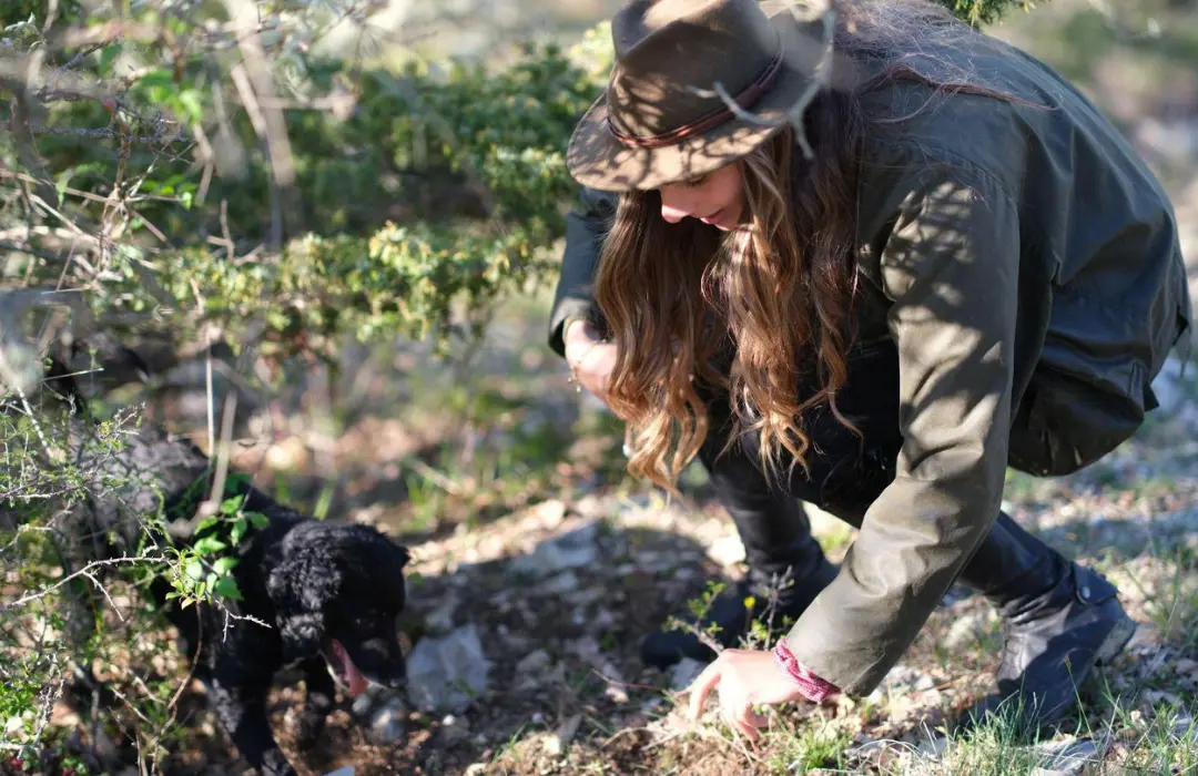 truffle_hunt_3